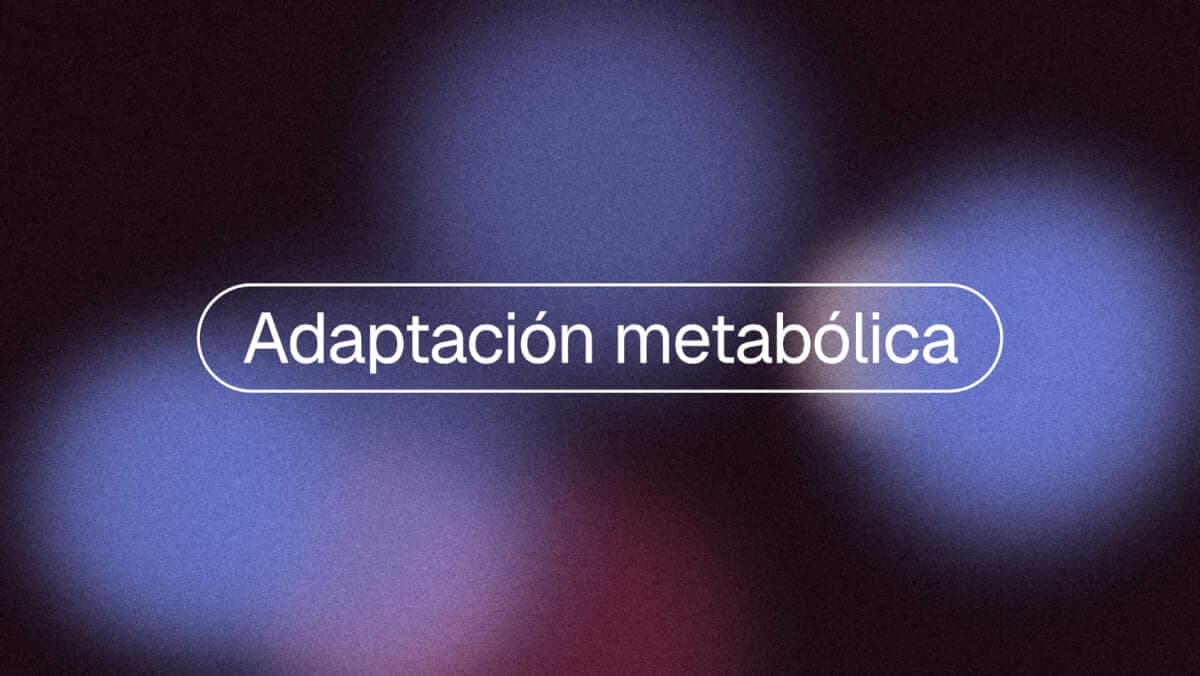 Adaptación metabólica: por qué se frena la pérdida de peso