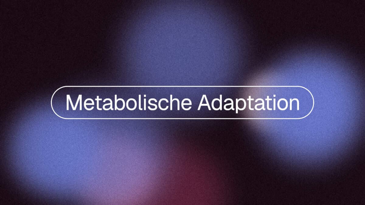 Metabolische Adaptation: Warum Abnehmen langsamer wird